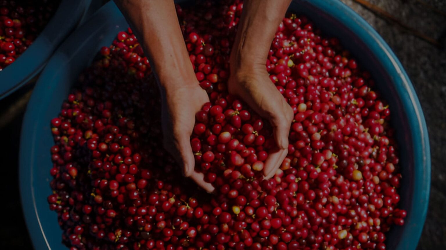 Welcome To Kanchi Filter Coffee